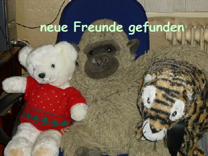 kellnerbaeren aurelia nof 01