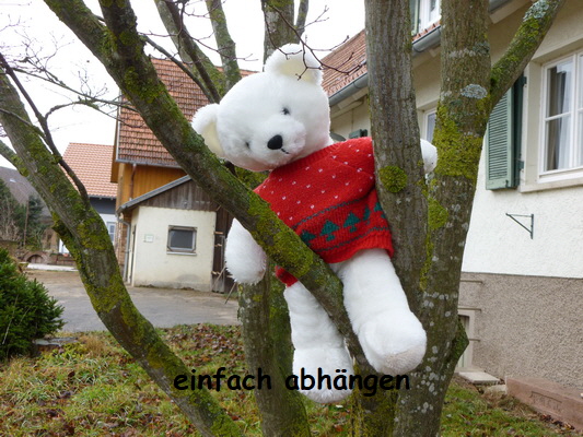 kellnerbaeren aurelia nof 05