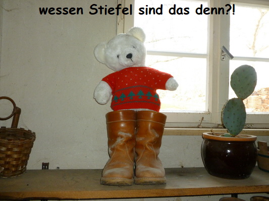 kellnerbaeren aurelia nof 06