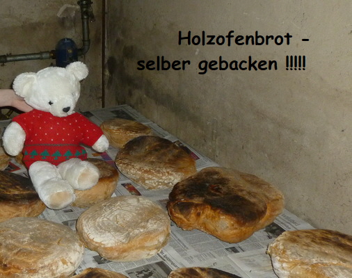 kellnerbaeren aurelia nof 07