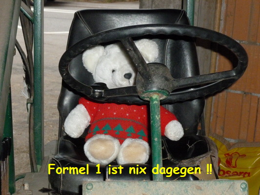 kellnerbaeren aurelia nof 08