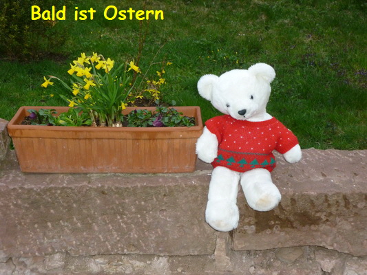 kellnerbaeren aurelia nof 12