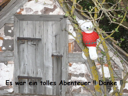 kellnerbaeren aurelia nof 13