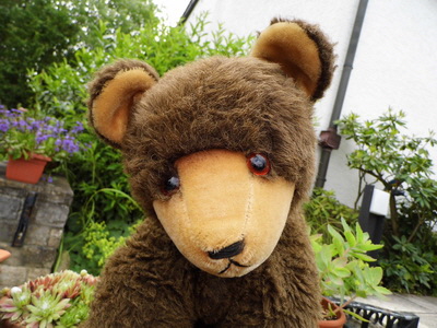 br schnubbel im garten 3_Bildgre ndern