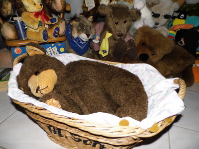 br schnubbel und das neue krbchen 2_Bildgre ndern