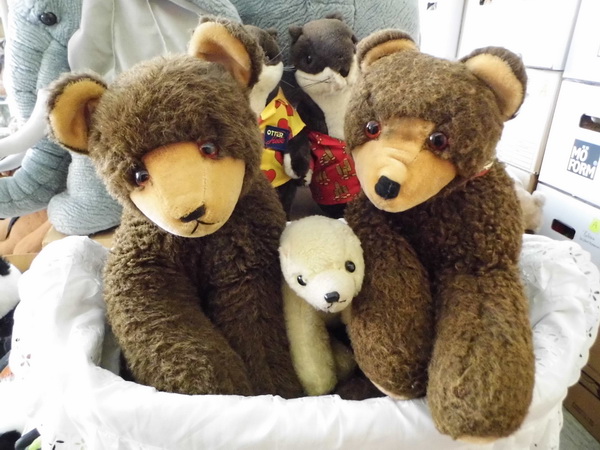 schnubbel und schnubbeline nof