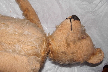 baerbara sir winston nof 05