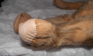 baerbara sir winston nof 06