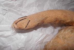 baerbara sir winston nof 07