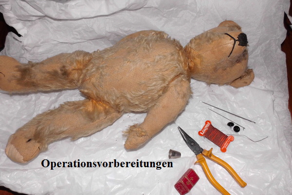 baerbara sir winston nof 08