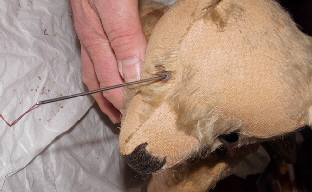 baerbara sir winston nof 09