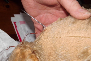 baerbara sir winston nof 10