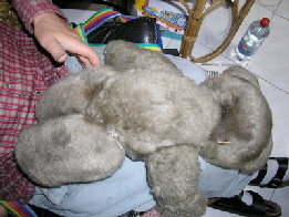 br vivlafrongs 03_nof