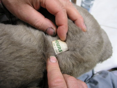 br vivlafrongs 07_nof