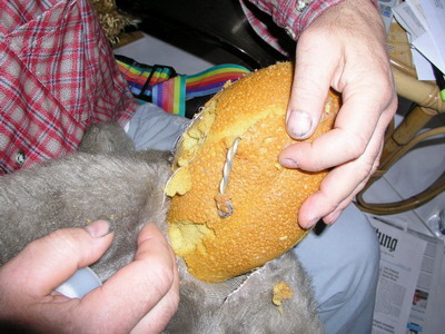 br vivlafrongs 12_nof