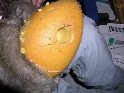 br vivlafrongs 14_nof