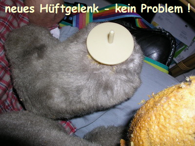 br vivlafrongs 15_nof