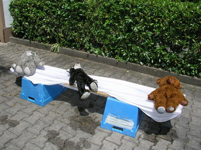 br vivlafrongs 16_nof