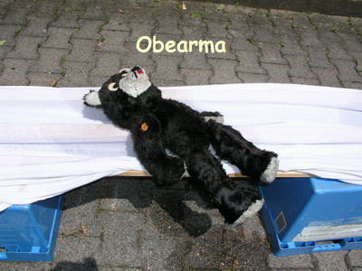 br vivlafrongs 18_nof