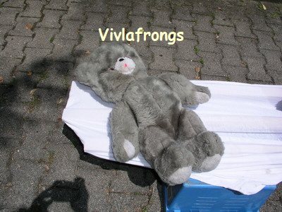 br vivlafrongs 19_nof