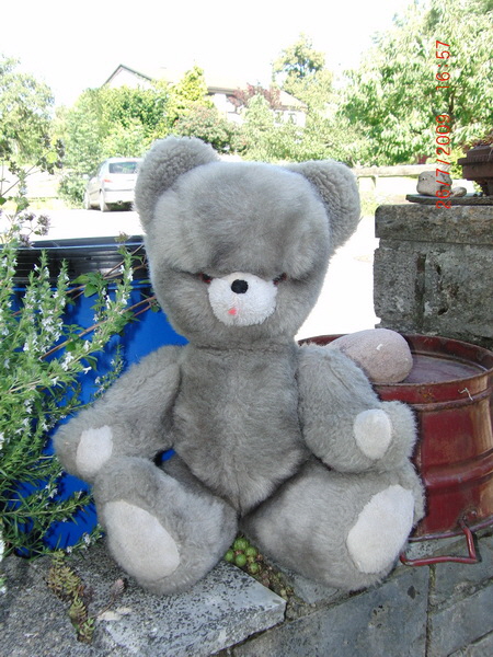 br vivlafrongs 20_nof