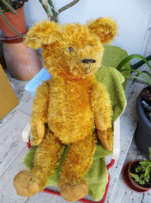 baerbara gottlob nof