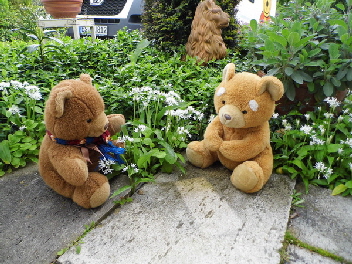 kyrill und daryl 3 brlauch baerbara nof