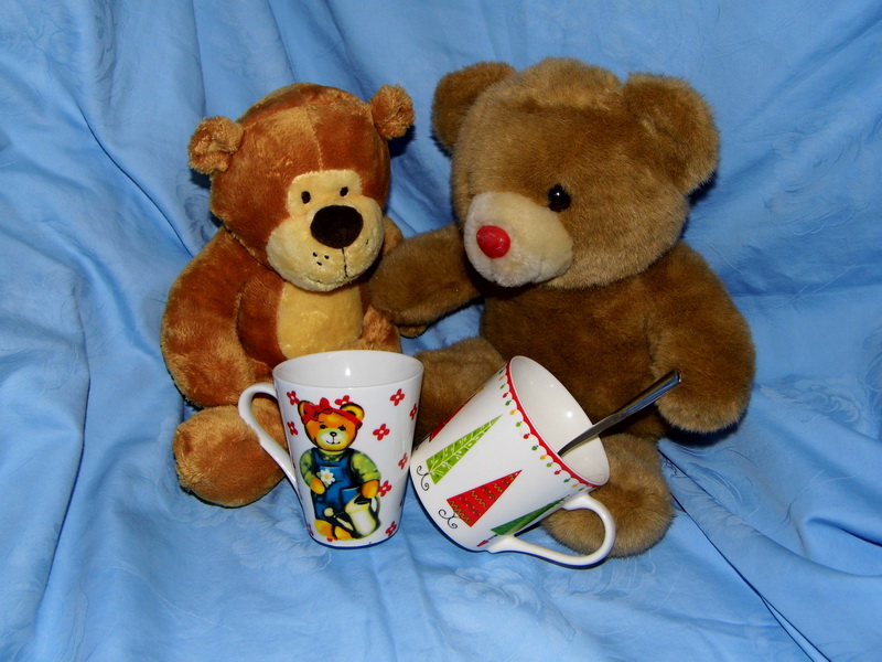 steffen und elias nof