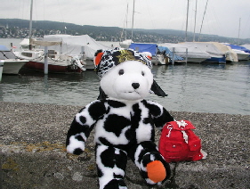 kuhno zrich 02_Gre ndern