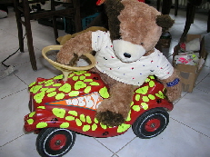 peter roger 05_Gre ndern